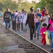 A legális migráció lehetőségét teremtené meg az EU 