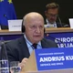 Andrius Kubilius
