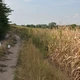 Megöltek egy kéthetes újszülöttet
