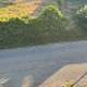 stopm