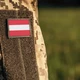 Ausztria katona